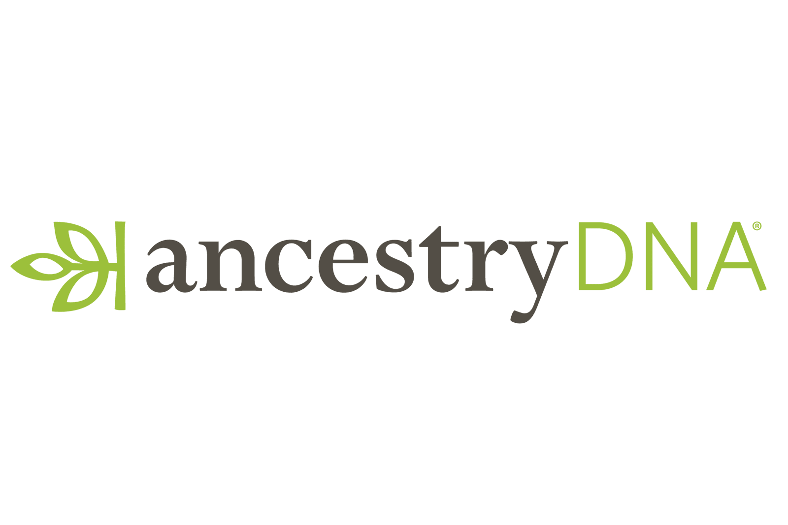 ancestry dna