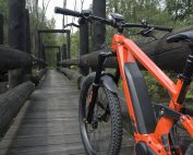 Best eBikes for any Rider