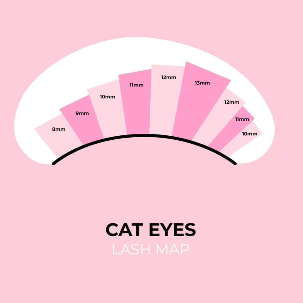 cat eye lash extension mapping