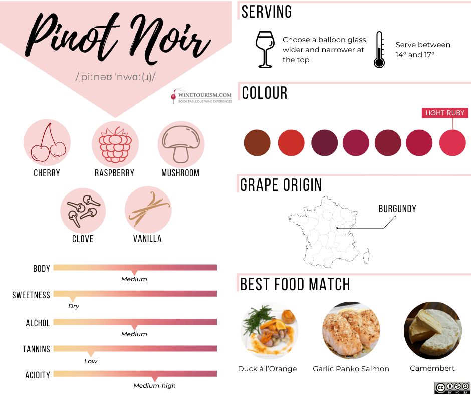 Characteristics Of Pinot Noir